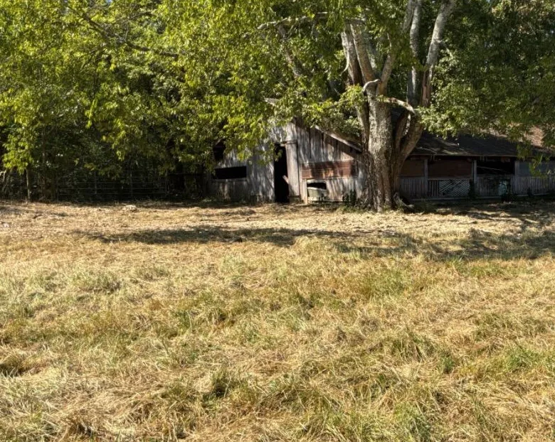 The same barn lot after clearing, cut low and open up to the barn