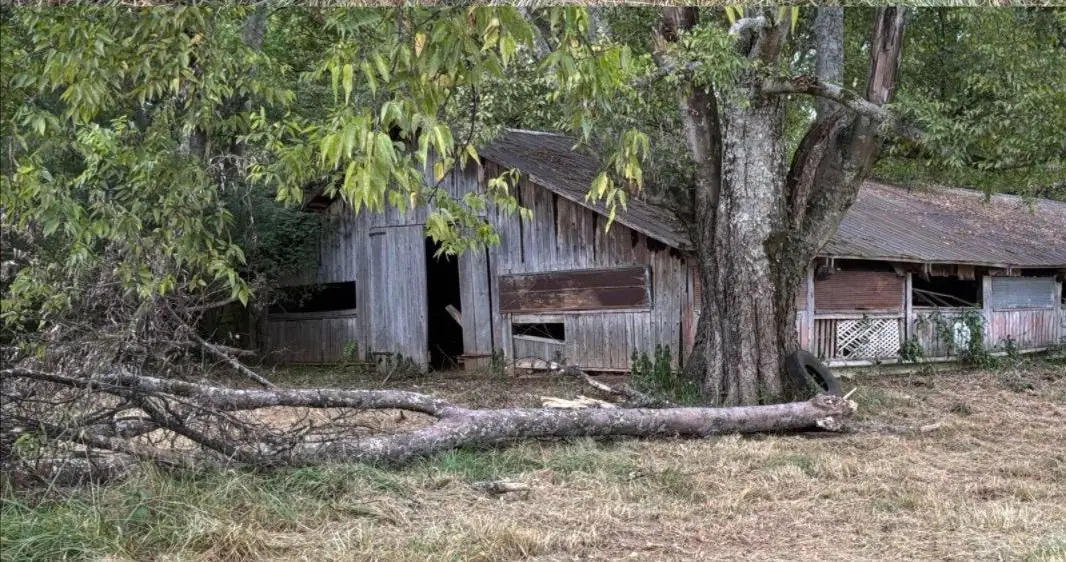 The same barn lot after clearing, with the ground cut low