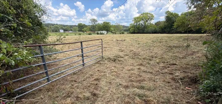 The same field after brush cutting, cut low from the gate to the tree line