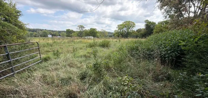 Overgrown field of tall grass and brush beside a metal farm gate