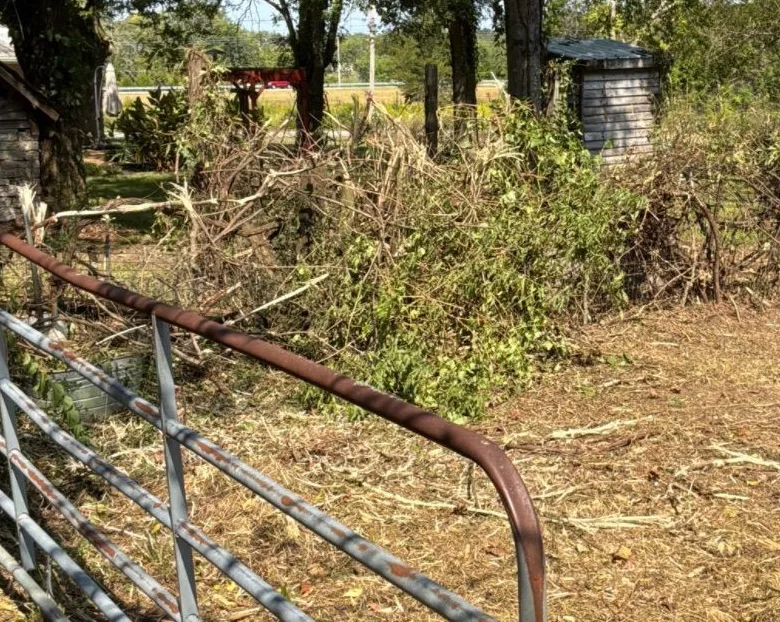The same gate after clearing, with the brush cut back and the ground open