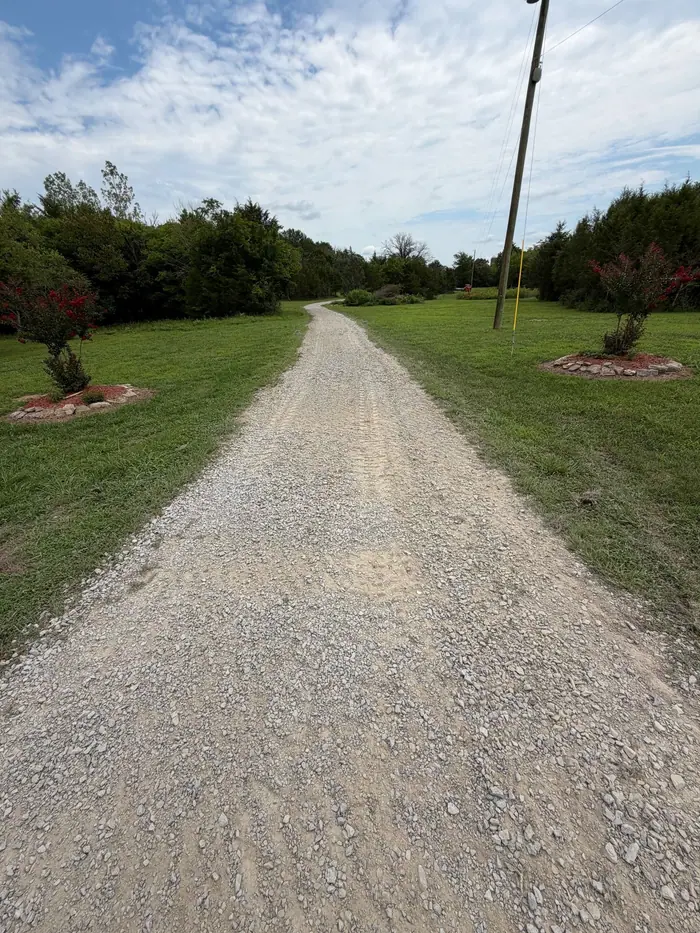 Long gravel driveway between lawns and young trees