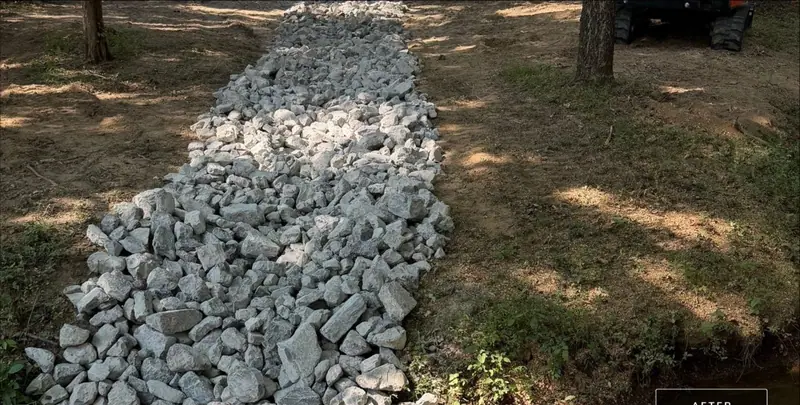 Rock-lined channel running down to a creek between trees