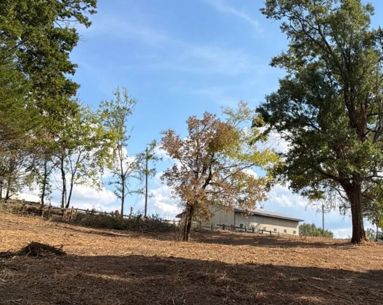 The same spot after clearing: open ground with a building visible beyond the trees